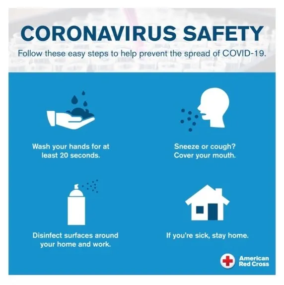 imgi_5_preview-full-Owens-Cornavirsus-Chart
