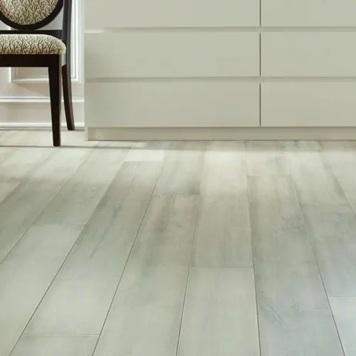 imgi_6_Magnificent_ArcticMaple_500x500