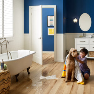 Kid cleaning dog with towel | Pilot Floor Covering