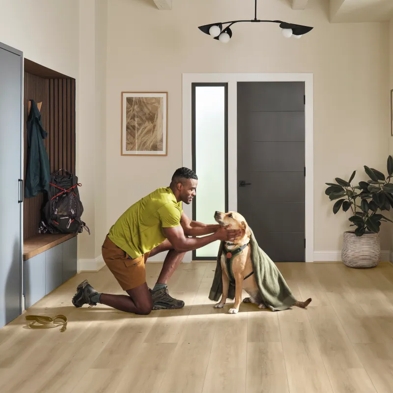 About-Intro Pet perfect flooring | Pilot Floor Covering