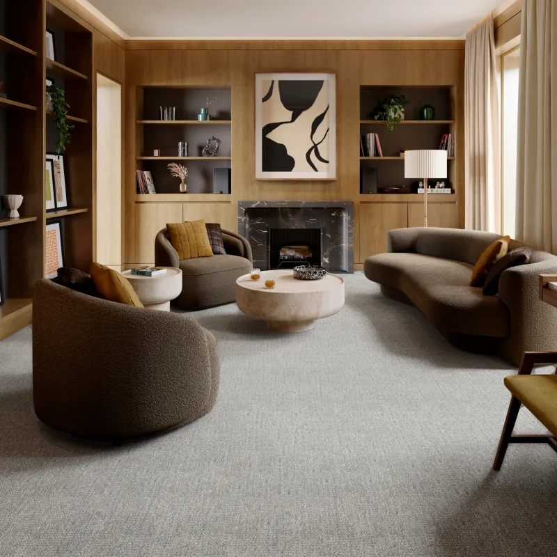 Gray carpet in modern sitting room | Pilot Floor Covering